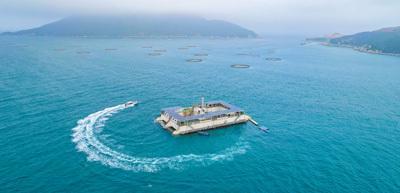海洋牧場 以綠色養(yǎng)殖與技術(shù)研發(fā)驅(qū)動(dòng)海水養(yǎng)殖的未來
