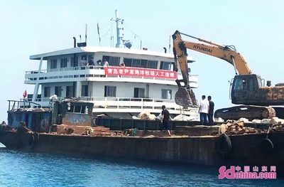 老尹家海參 國家級海洋牧場的“青島樣板”與海水養(yǎng)殖技術(shù)研發(fā)新篇章